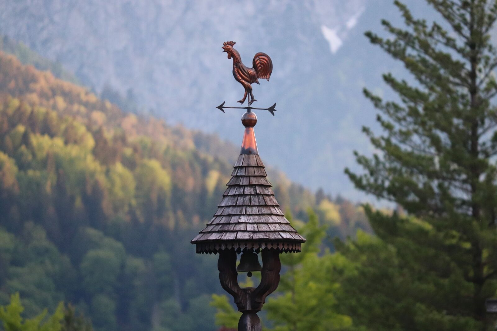 Canon EOS 200D (EOS Rebel SL2 / EOS Kiss X9) sample photo. Weather vane, turret, wooden photography