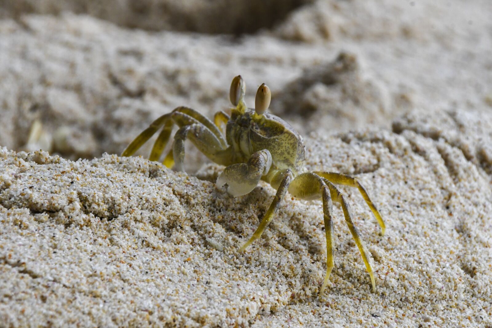 Nikon D500 sample photo. Seychelles, beach, sand photography