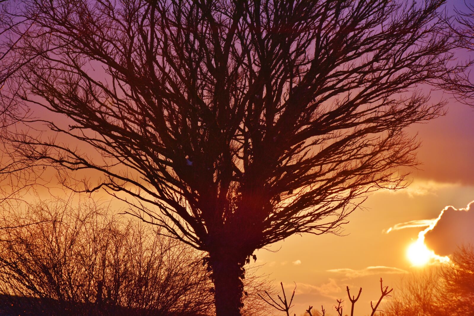 Nikon D7200 sample photo. Sunset, afterglow, evening sky photography