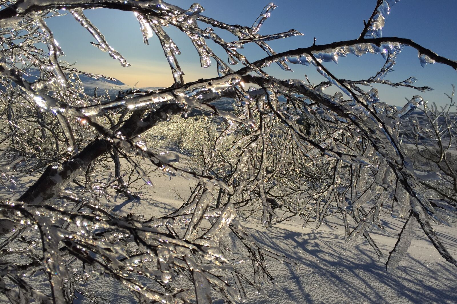 Apple iPhone 6 sample photo. Ice, icicles, snow photography