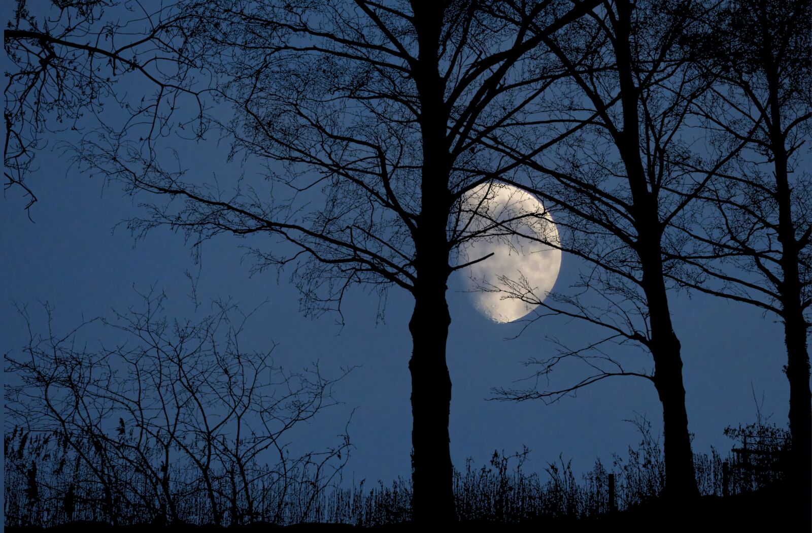 Panasonic Lumix DMC-FZ200 sample photo. Night, sky, moon photography