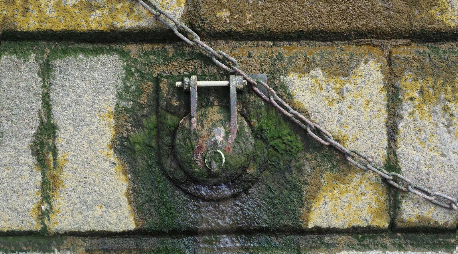 Olympus OM-D E-M10 II + Olympus M.Zuiko Digital ED 12-100mm F4.0 IS Pro sample photo. Sewer, outlet, chain photography