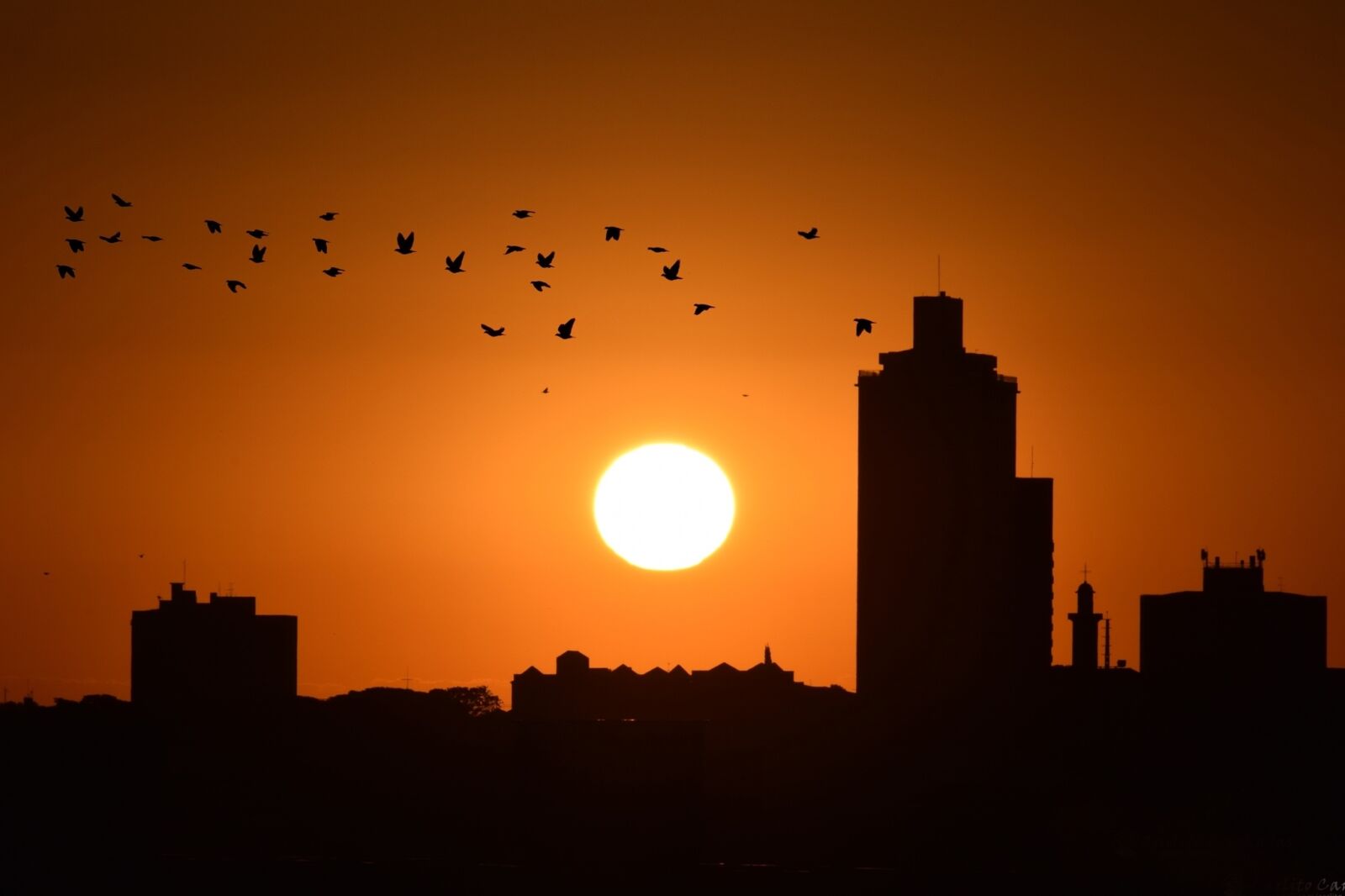 Nikon D5300 sample photo. Sol, sunset, city photography