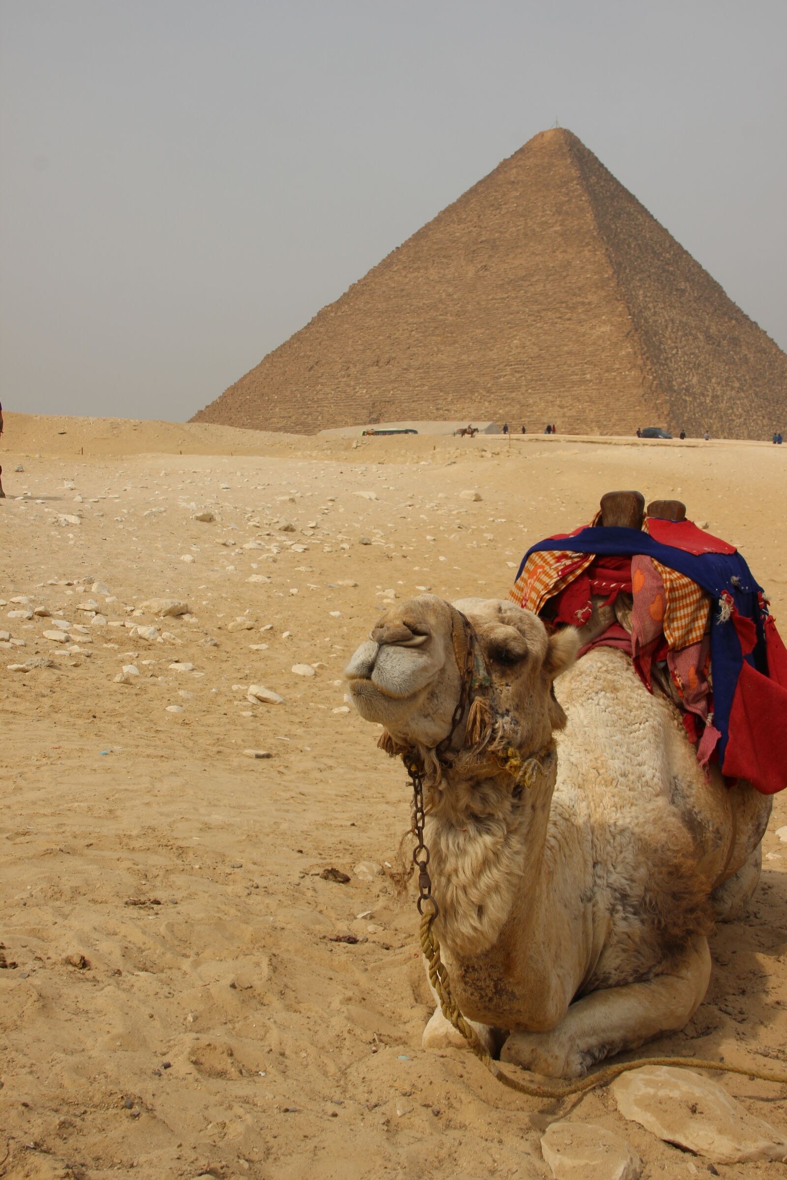 Canon EOS 600D (Rebel EOS T3i / EOS Kiss X5) sample photo. Egypt, africa, pyramid photography