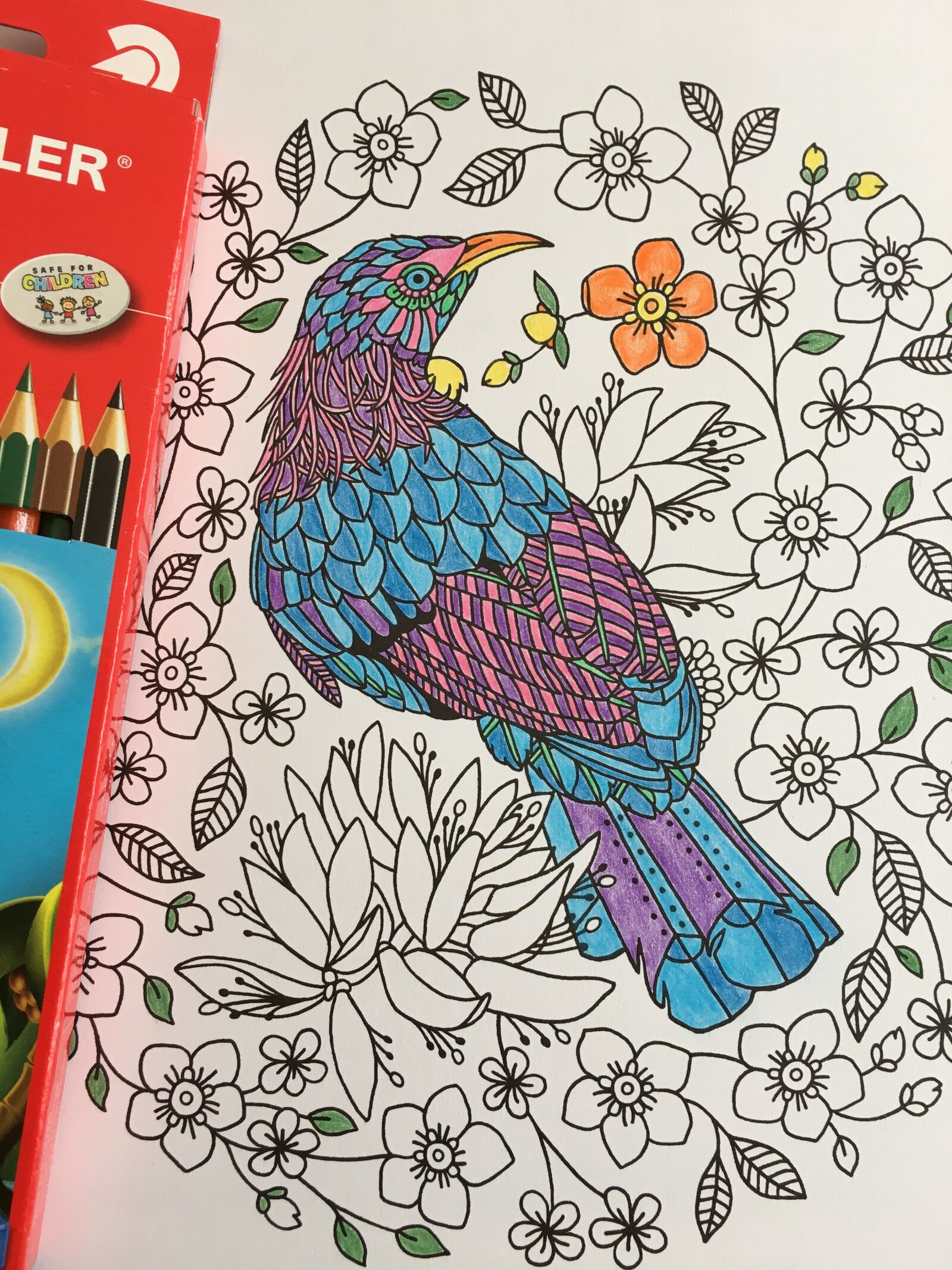 Apple iPhone 6s sample photo. Colouring in, pencil, drawing photography