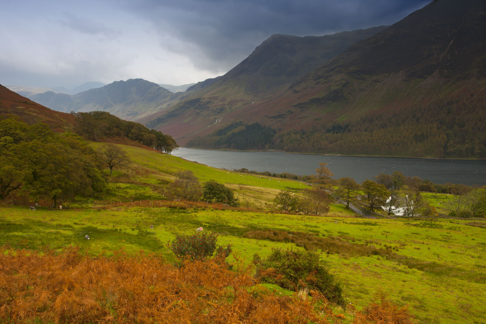 Canon EOS 5D Mark II sample photo. Meadow, by, river photography