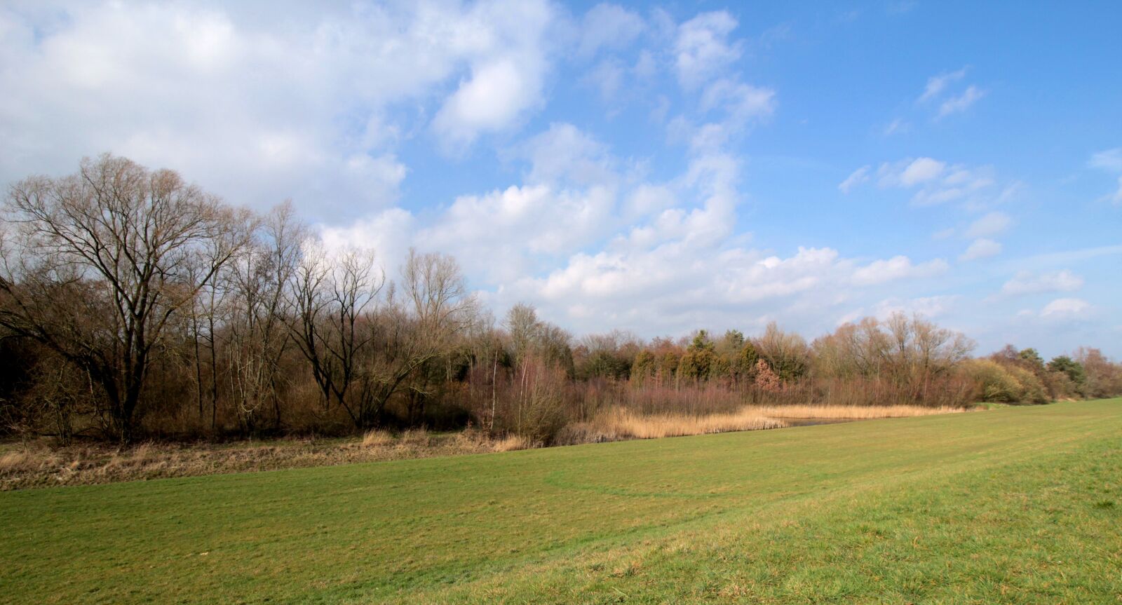 Canon EOS 600D (Rebel EOS T3i / EOS Kiss X5) sample photo. Dyke, forest, nature photography