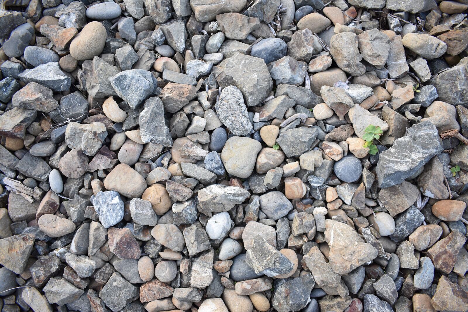 Nikon D3400 sample photo. Rocks, beach, outdoor photography