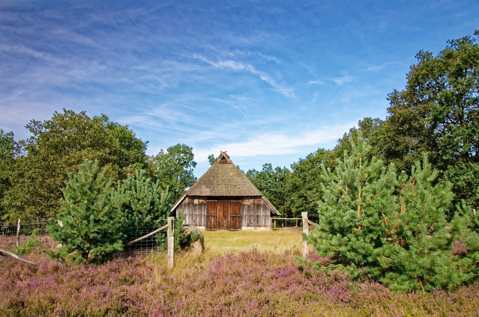 Nikon D7000 sample photo. Germany, l neburg heath photography