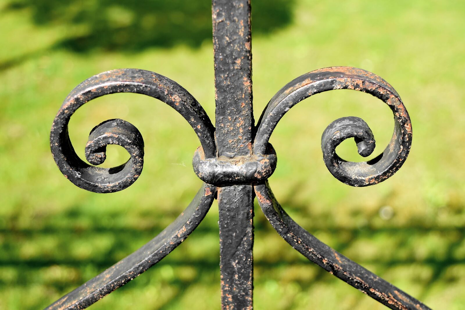 Nikon D5500 sample photo. Cast iron, fence, handmade photography