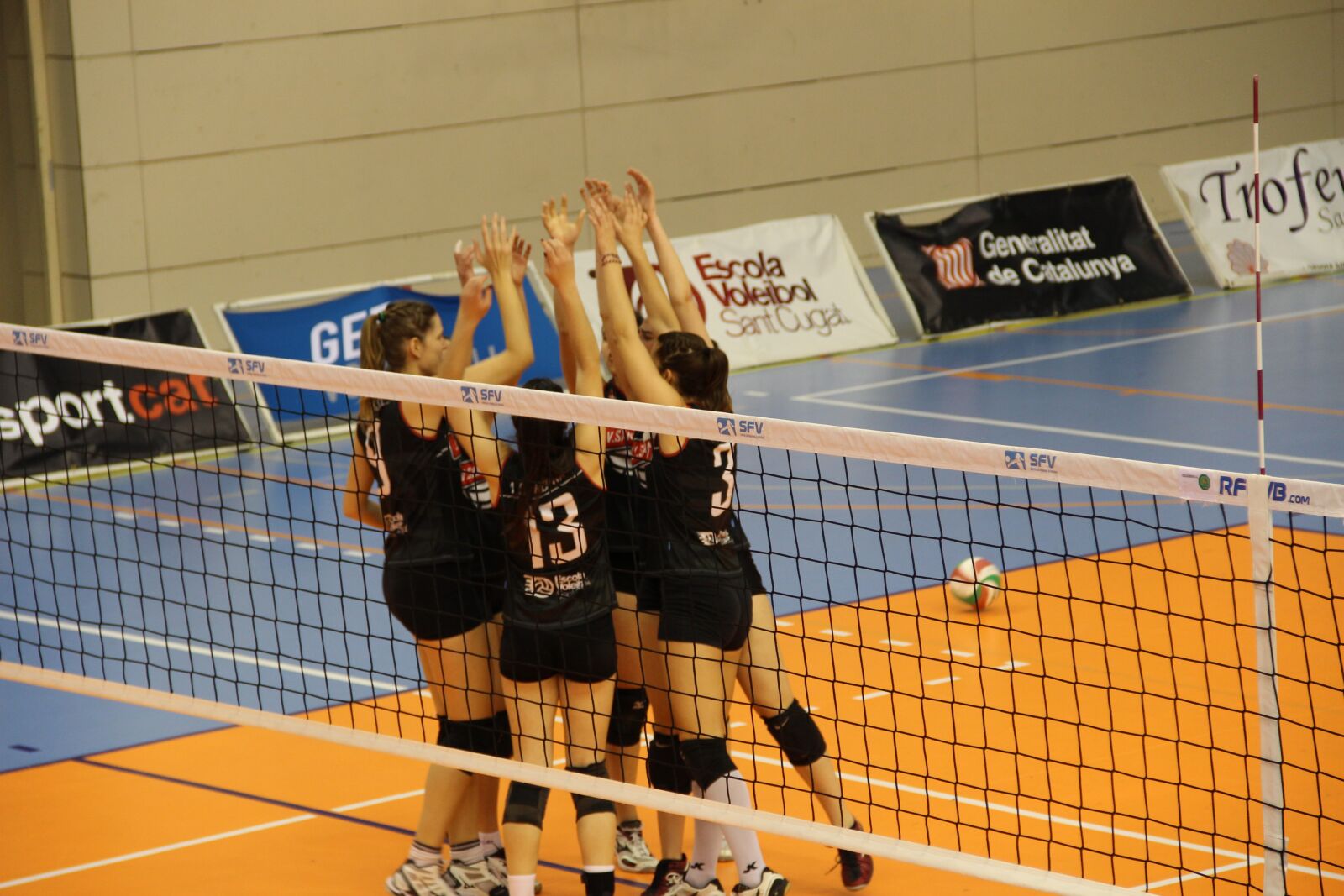 Canon EF-S 18-135mm F3.5-5.6 IS sample photo. Volleyball, party, win photography