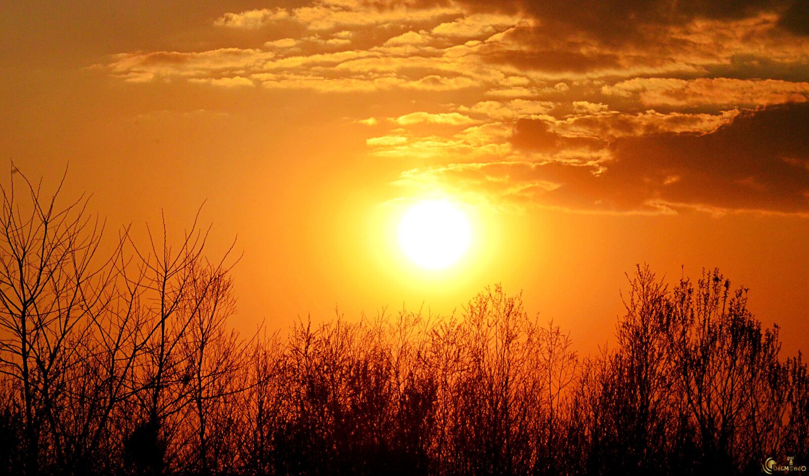 Nikon D5100 sample photo. Red, sky, sunset photography