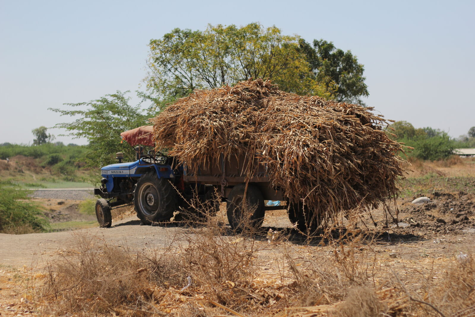 Canon EOS 60D + Canon EF 50mm F1.8 STM sample photo. Tractor photography