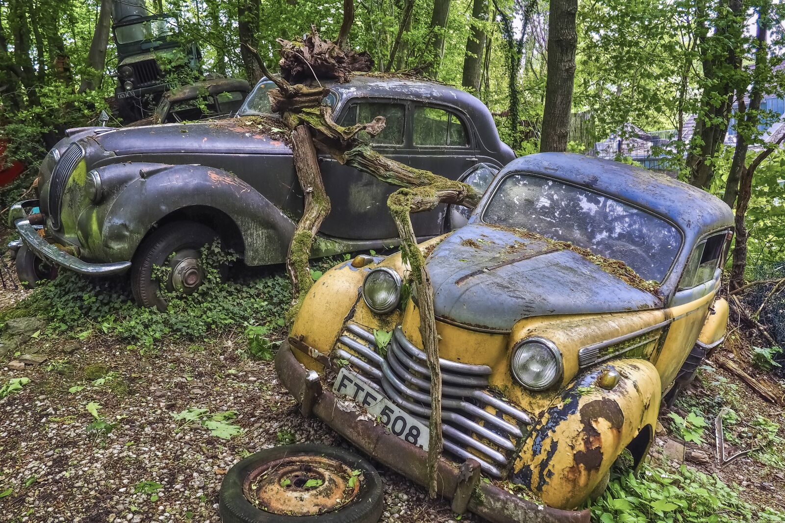 Olympus OM-D E-M10 sample photo. Auto, car cemetery, oldtimer photography