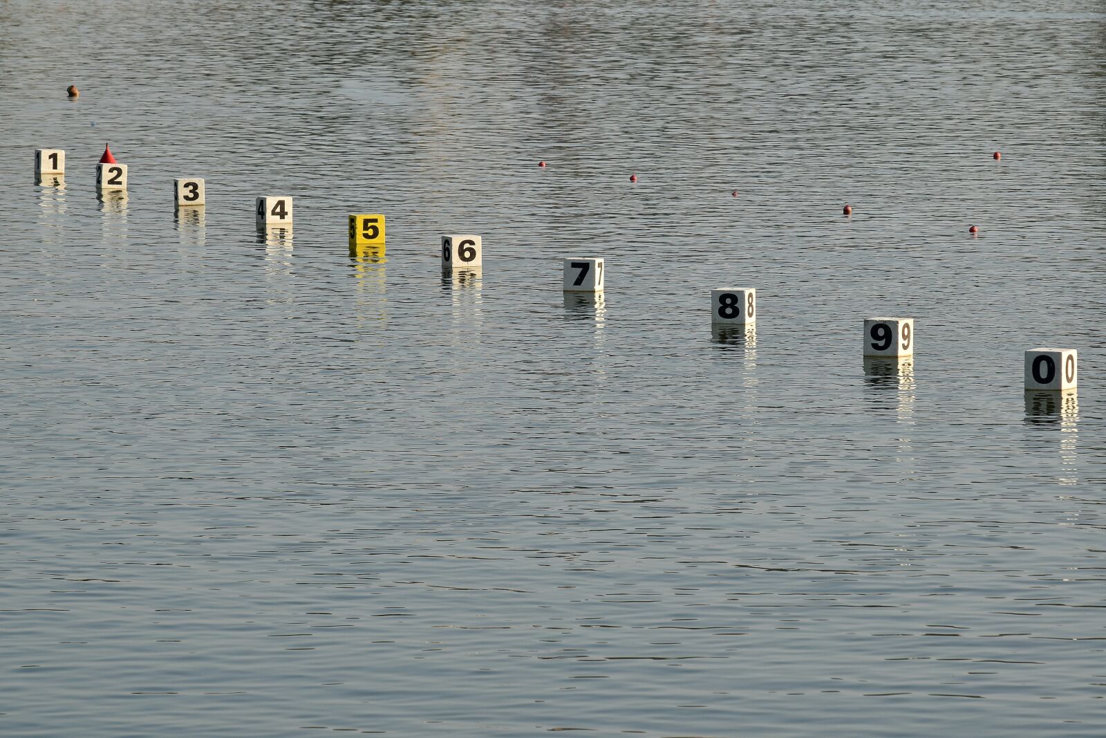 Nikon D5500 sample photo. Finish, lines, start, water photography