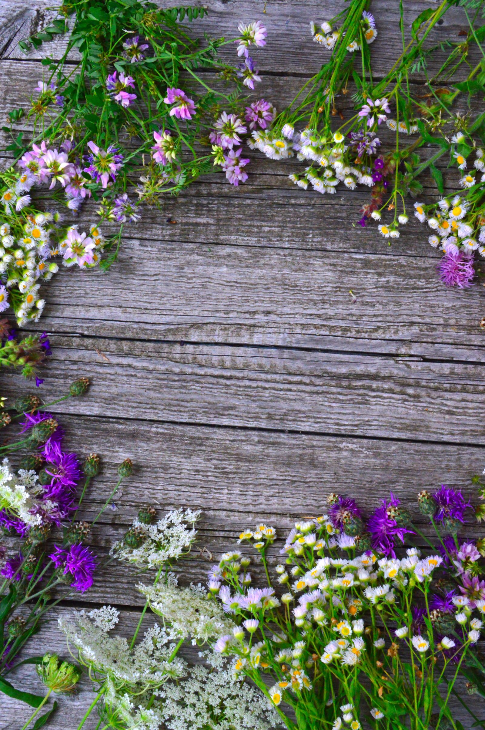 Nikon D3200 sample photo. Color, bouquet, summer flowers photography