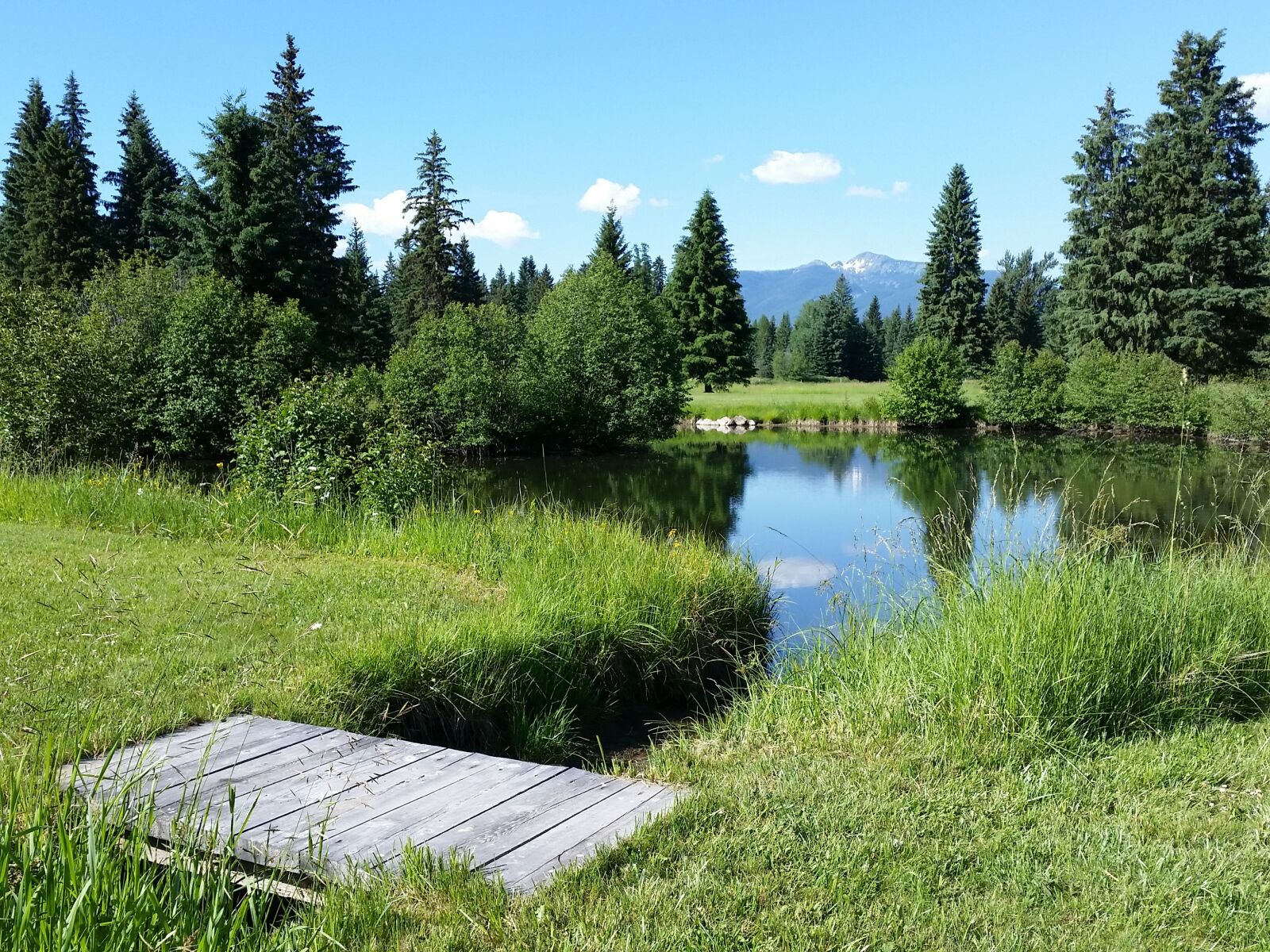 Samsung Galaxy S5 sample photo. Forrest, montana, pond photography