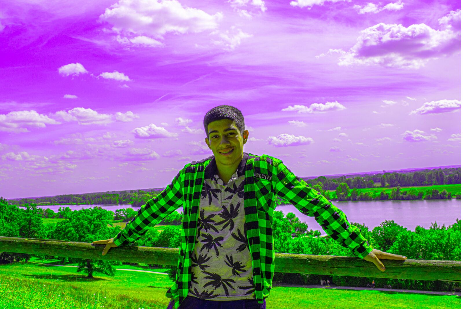 Nikon D5300 sample photo. Purple, green, sky photography