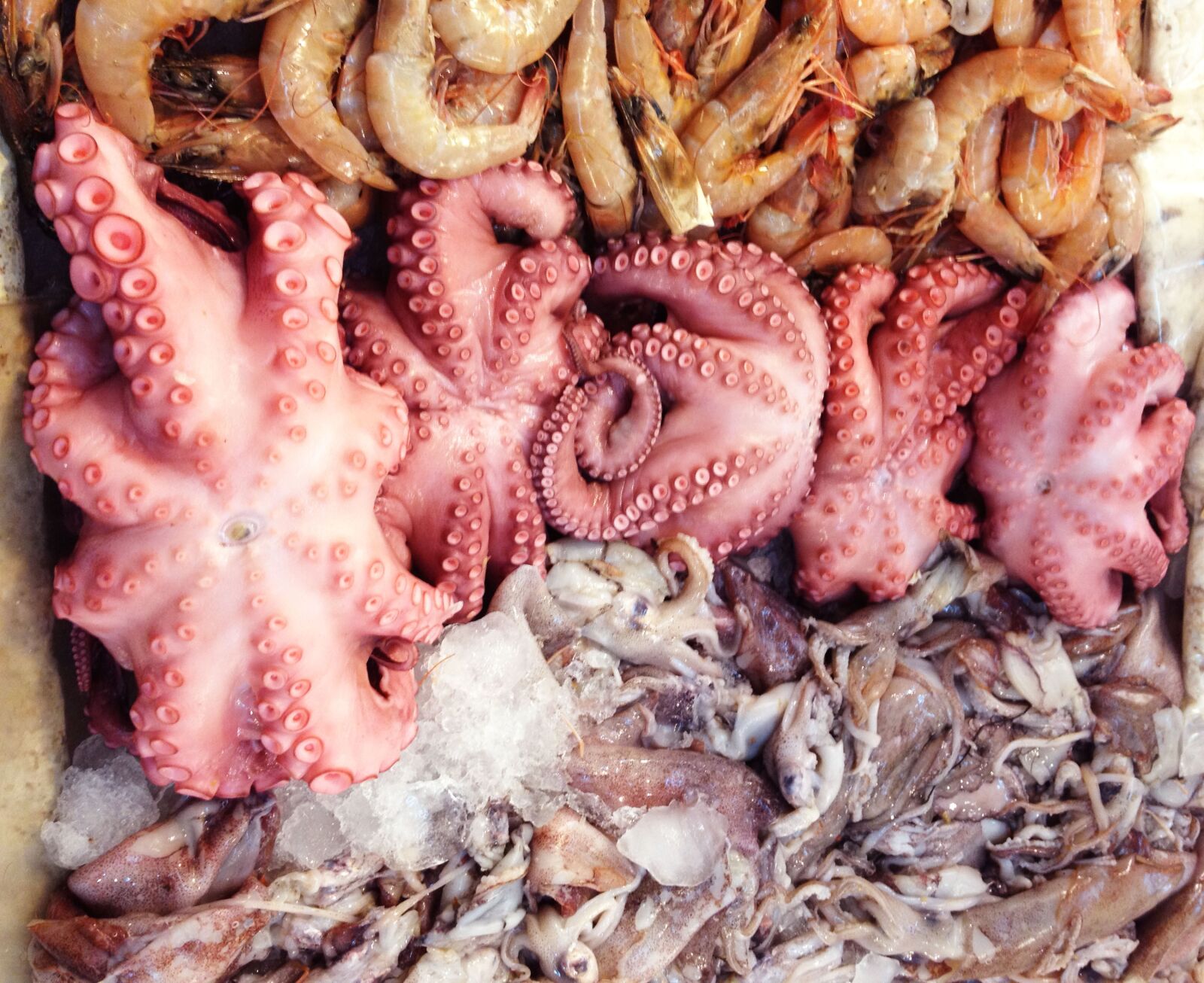 iPhone 4S back camera 4.28mm f/2.4 sample photo. Octopus, food, market photography