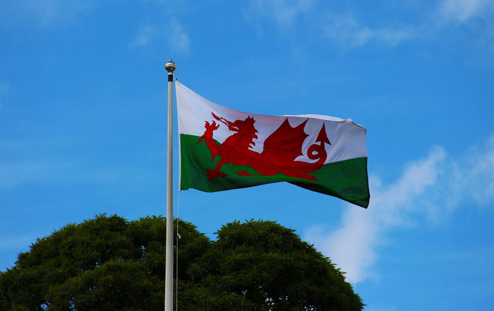 Canon EF-S 18-135mm F3.5-5.6 IS sample photo. Welsh flag, pennant, welsh photography