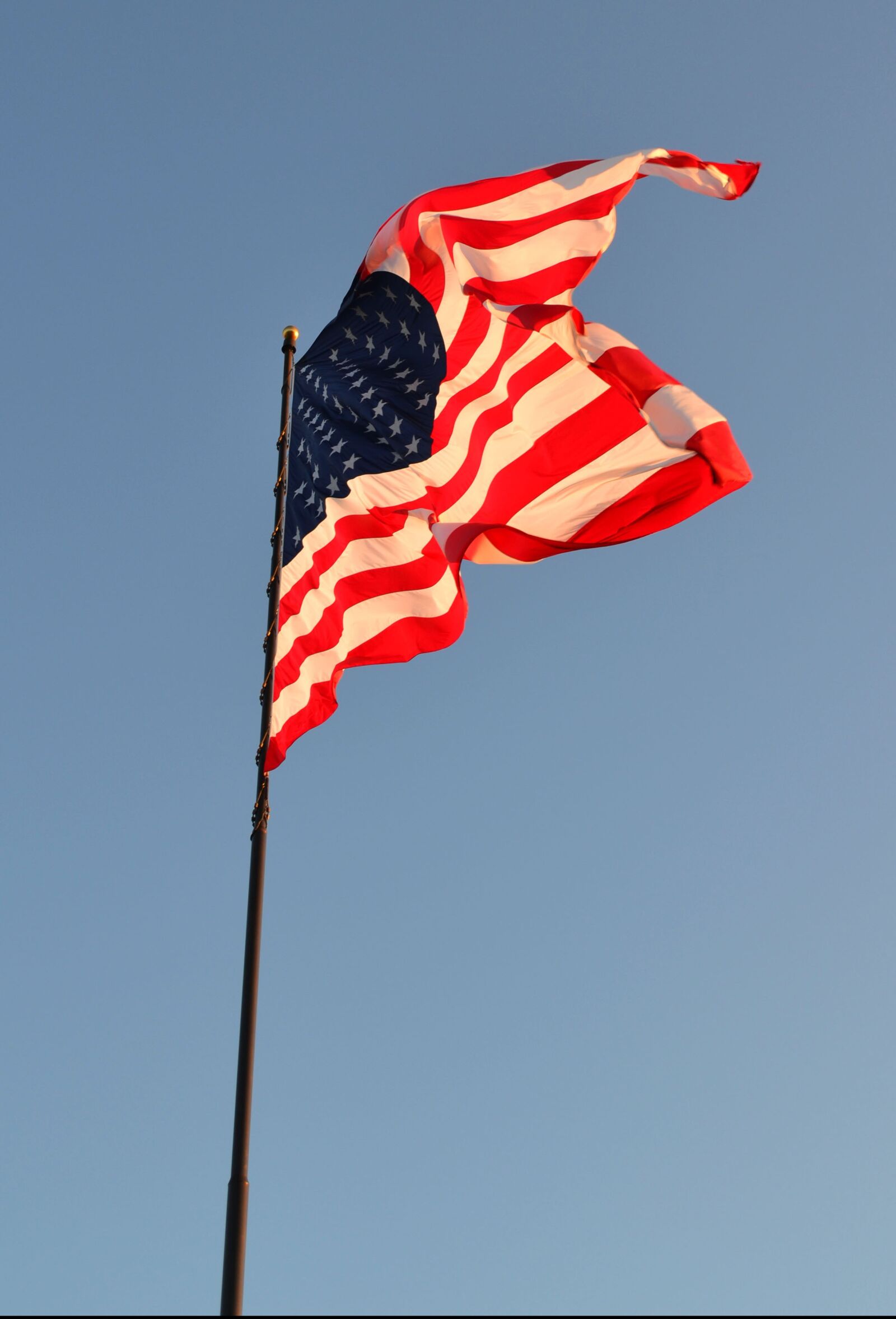 Nikon D3100 sample photo. Usa, america, old glory photography