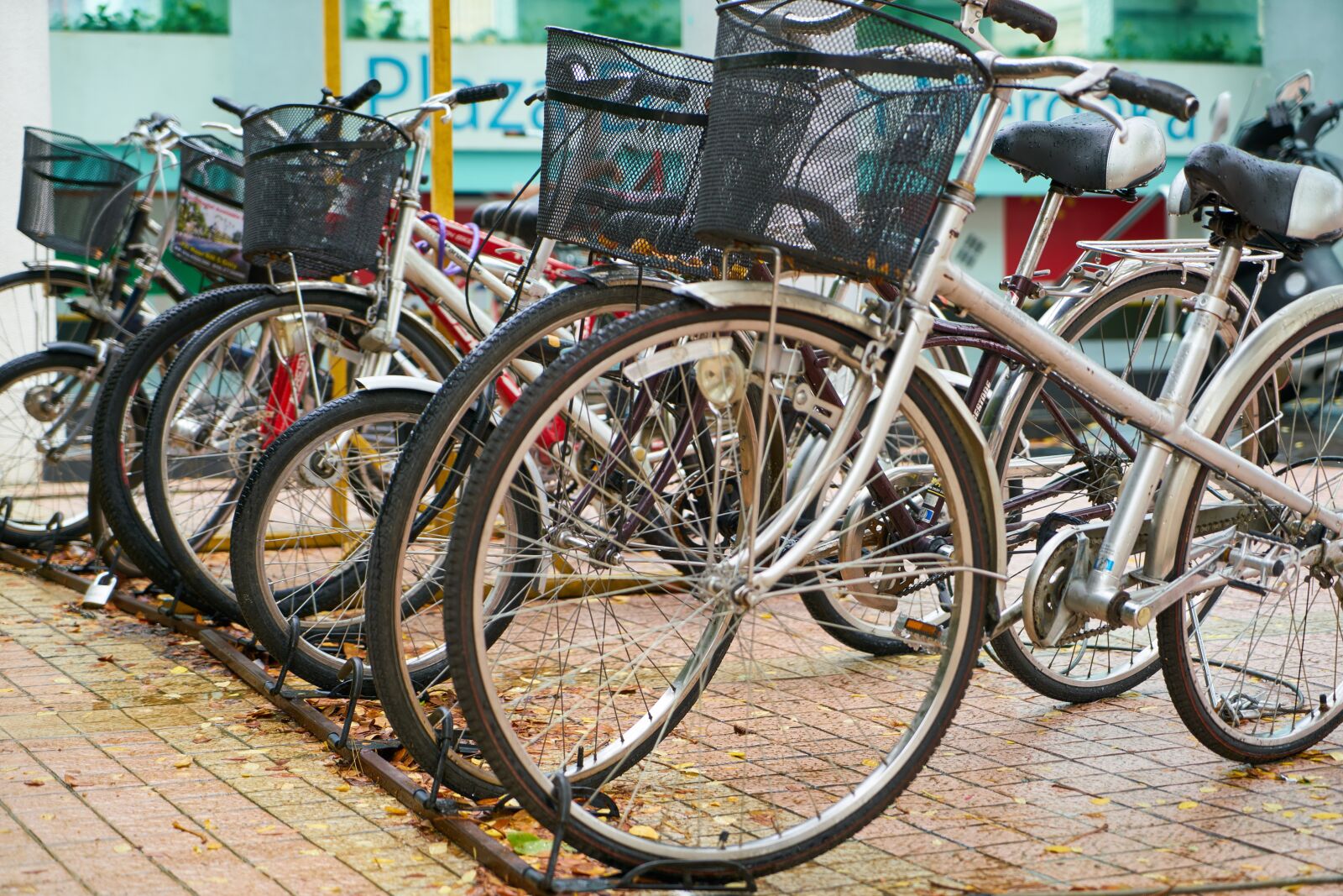 Sony a7R II sample photo. Bicycle, park, wheel photography