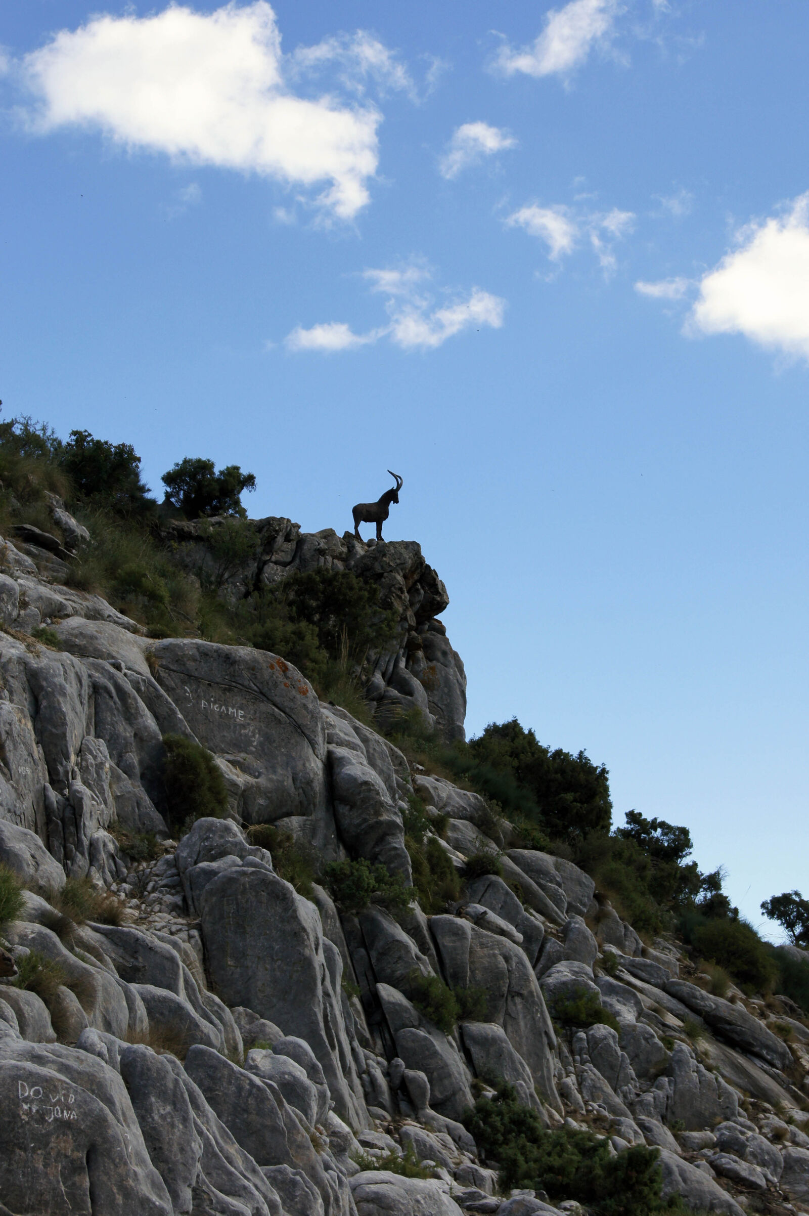 Sony SLT-A33 sample photo. Andalusia, cliff, goat, landscape photography