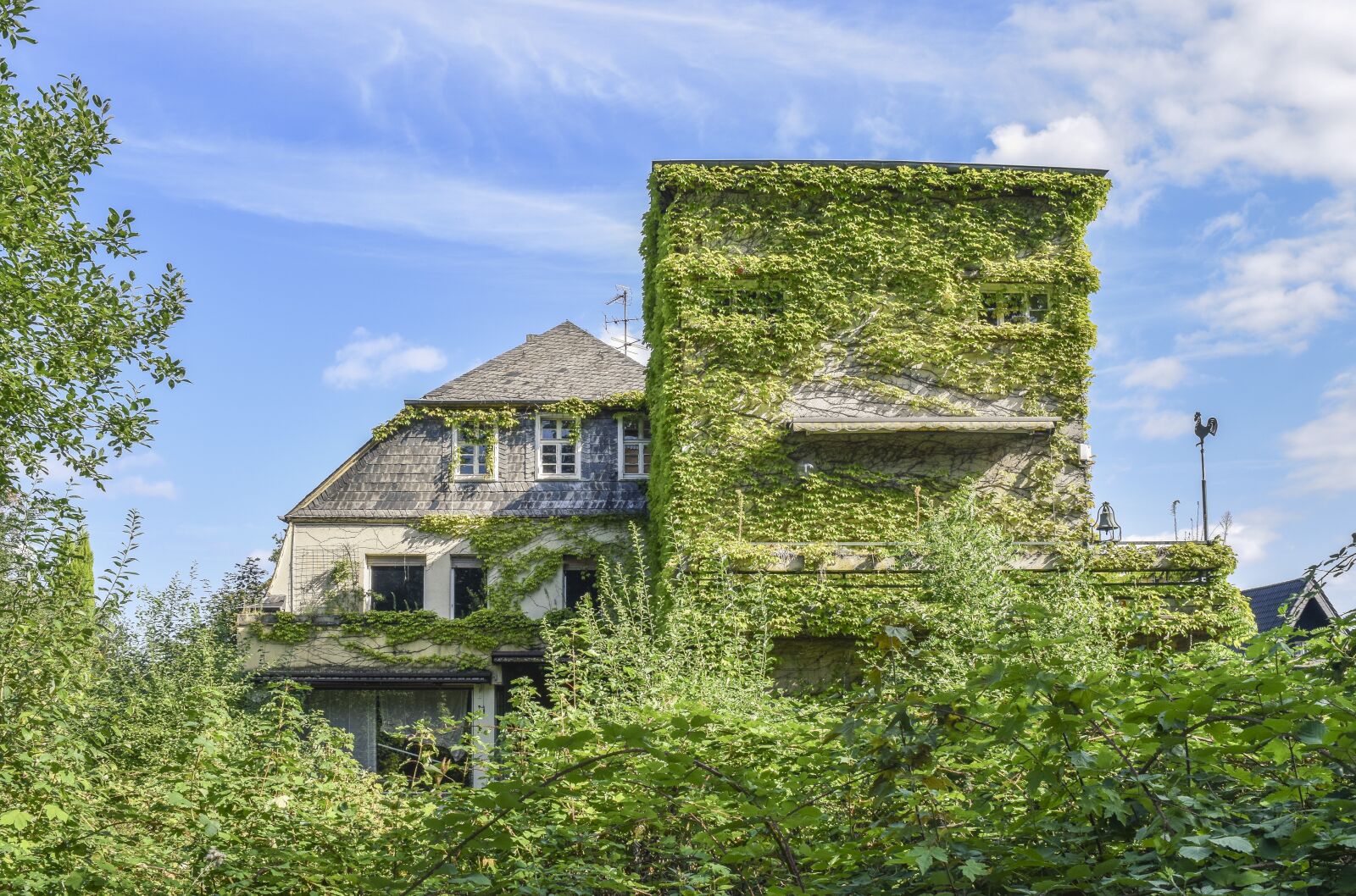 Nikon D3300 sample photo. Lost places, villa, house photography