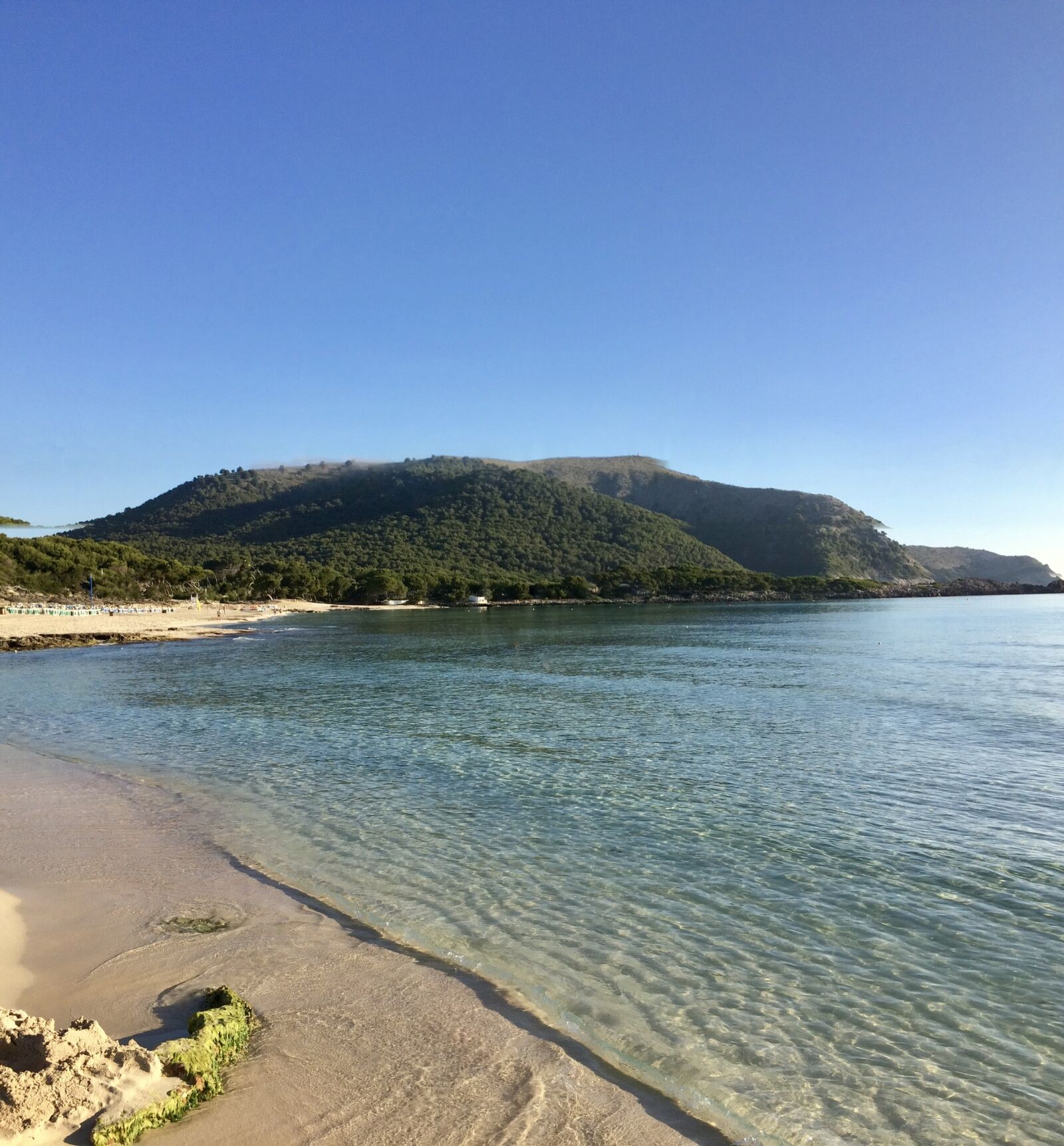 iPhone 5s back camera 4.15mm f/2.2 sample photo. Bay, lonely, green photography