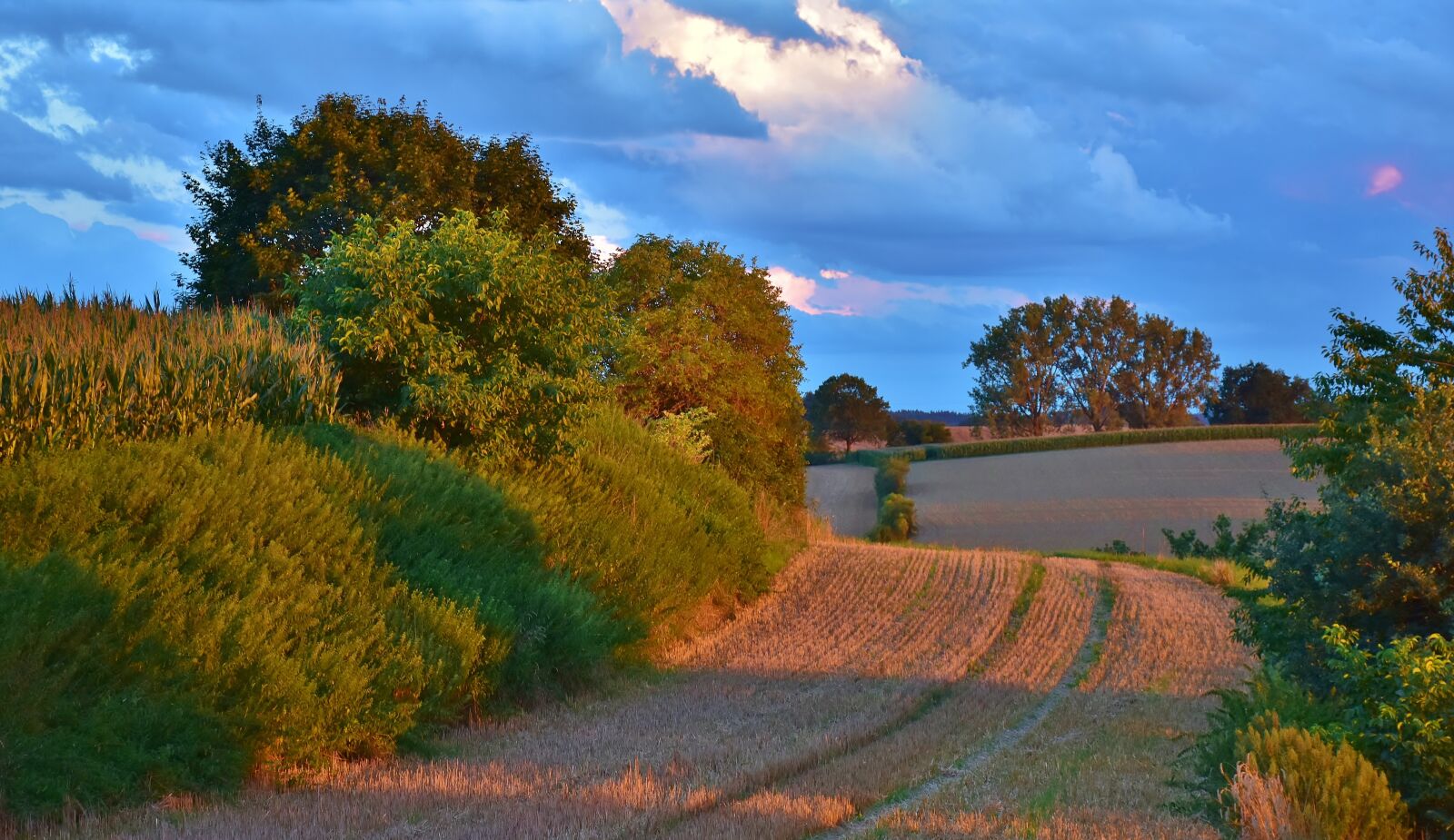 Nikon D7200 sample photo. Sunset, landscape, evening sky photography