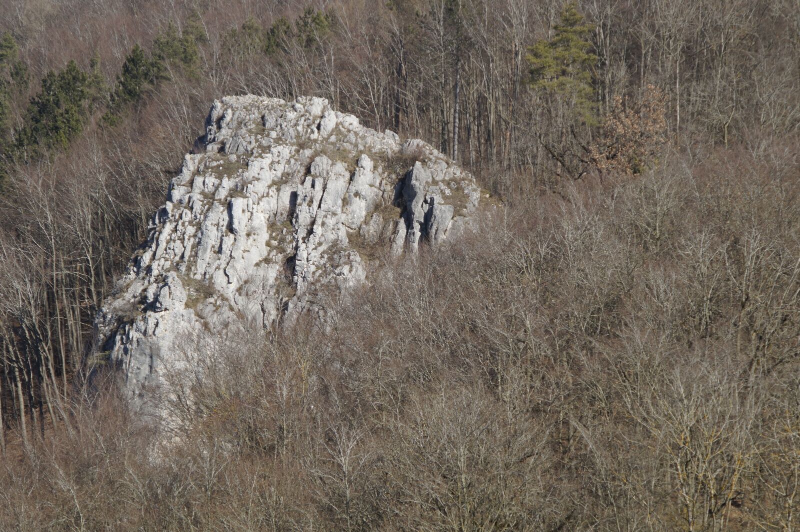 Sony SLT-A58 sample photo. Rock, limestone, swabian alb photography