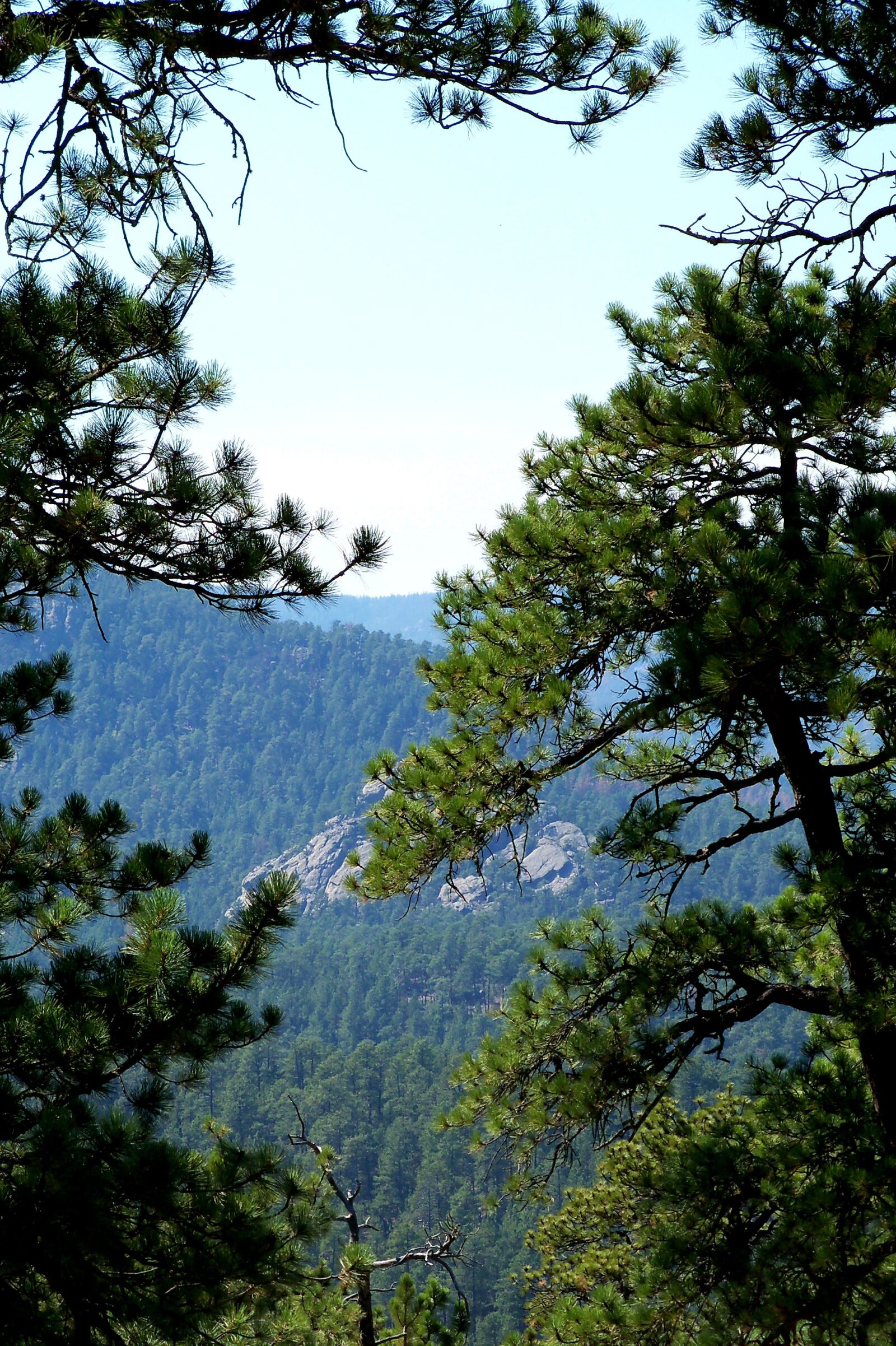 Kodak EasyShare Z915 sample photo. Black hills, south dakota photography