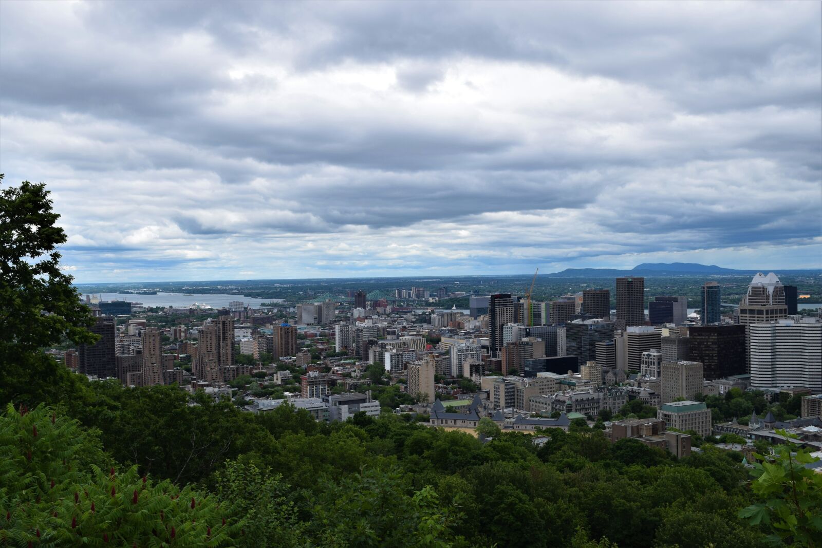 Nikon D3300 sample photo. Skyline, downtown, cityscape photography