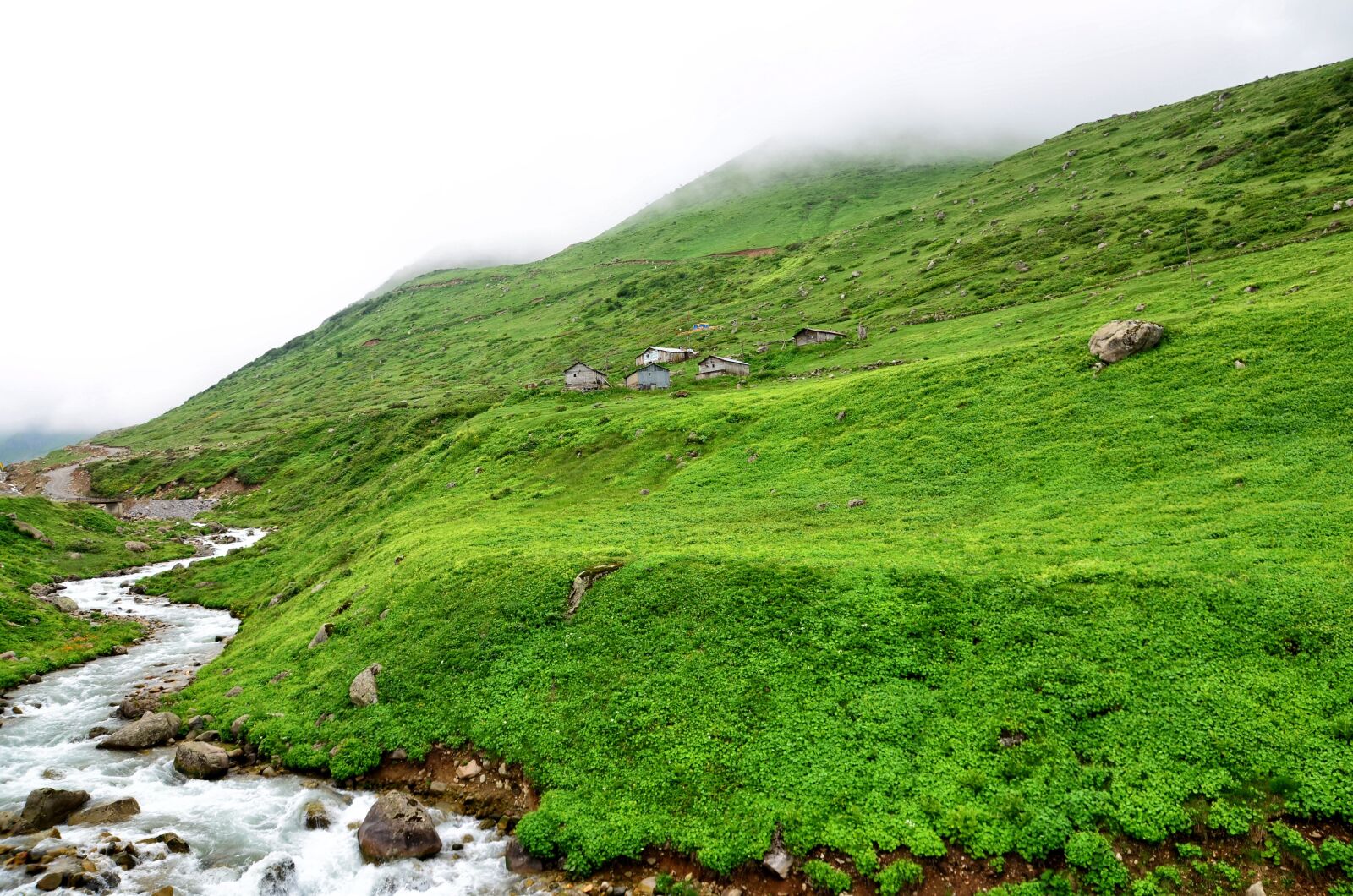 Nikon D5100 sample photo. Eastern black sea, plateaus photography