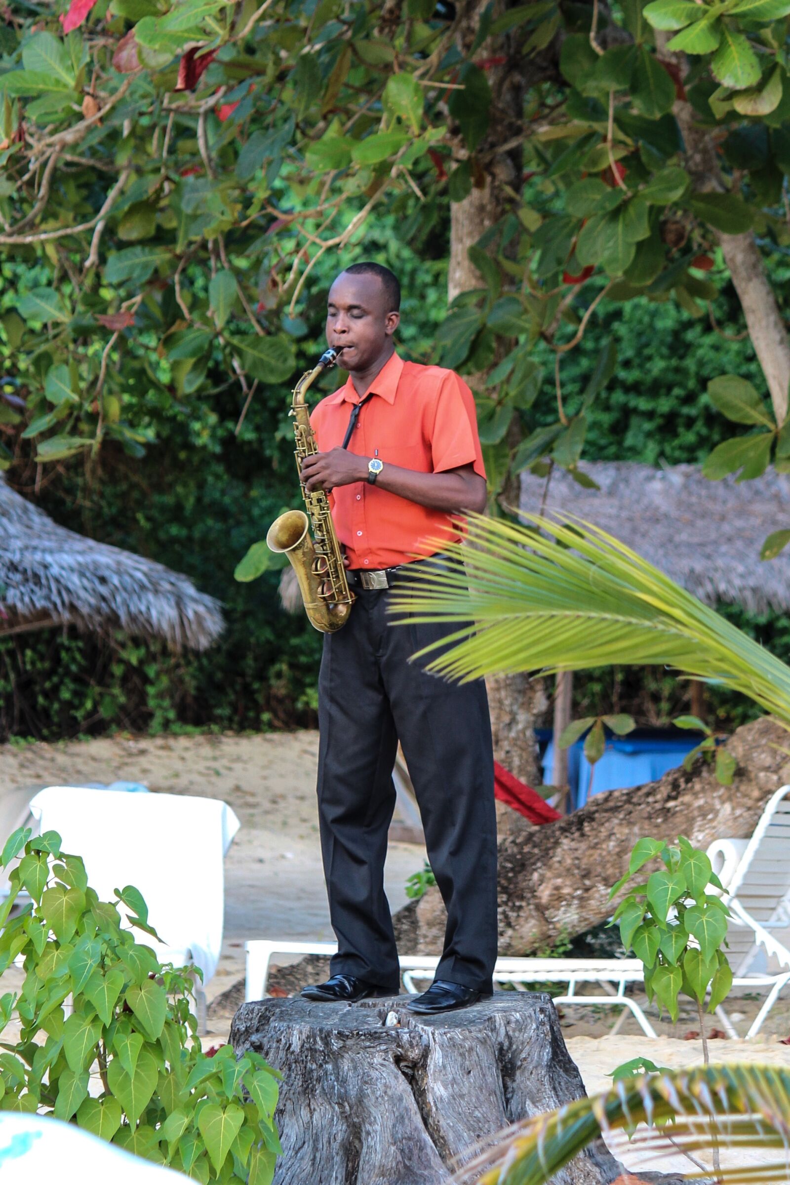 Canon EOS 600D (Rebel EOS T3i / EOS Kiss X5) + Canon EF-S 55-250mm F4-5.6 IS sample photo. Jamaica, saxophone, music photography