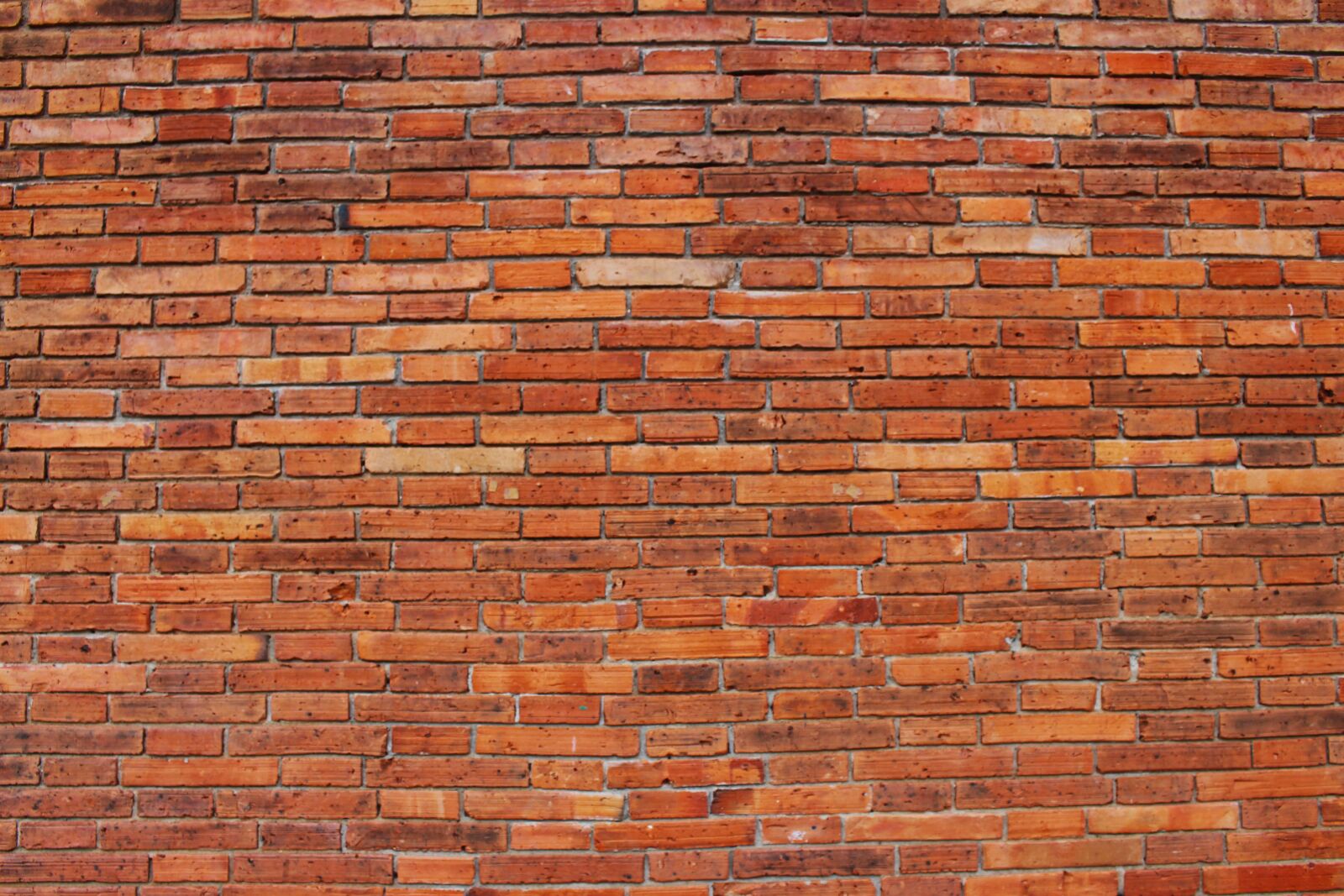 Canon EOS 700D (EOS Rebel T5i / EOS Kiss X7i) sample photo. Brick wall, brick, wall photography