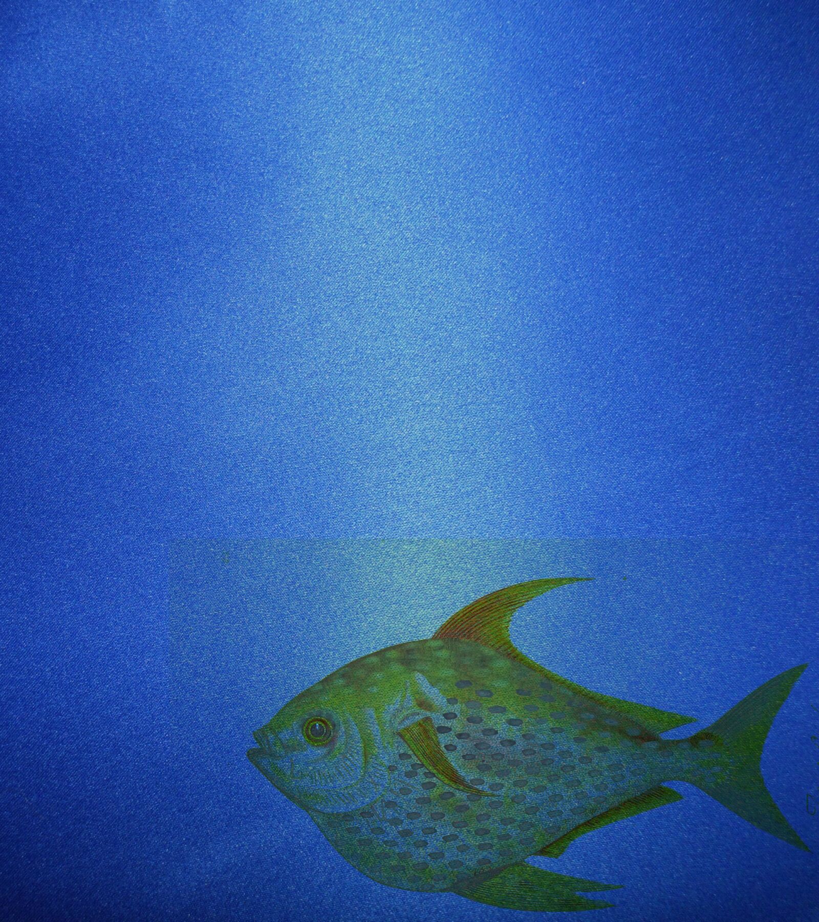 Samsung ST72/ST73 sample photo. Background, blue, fish photography
