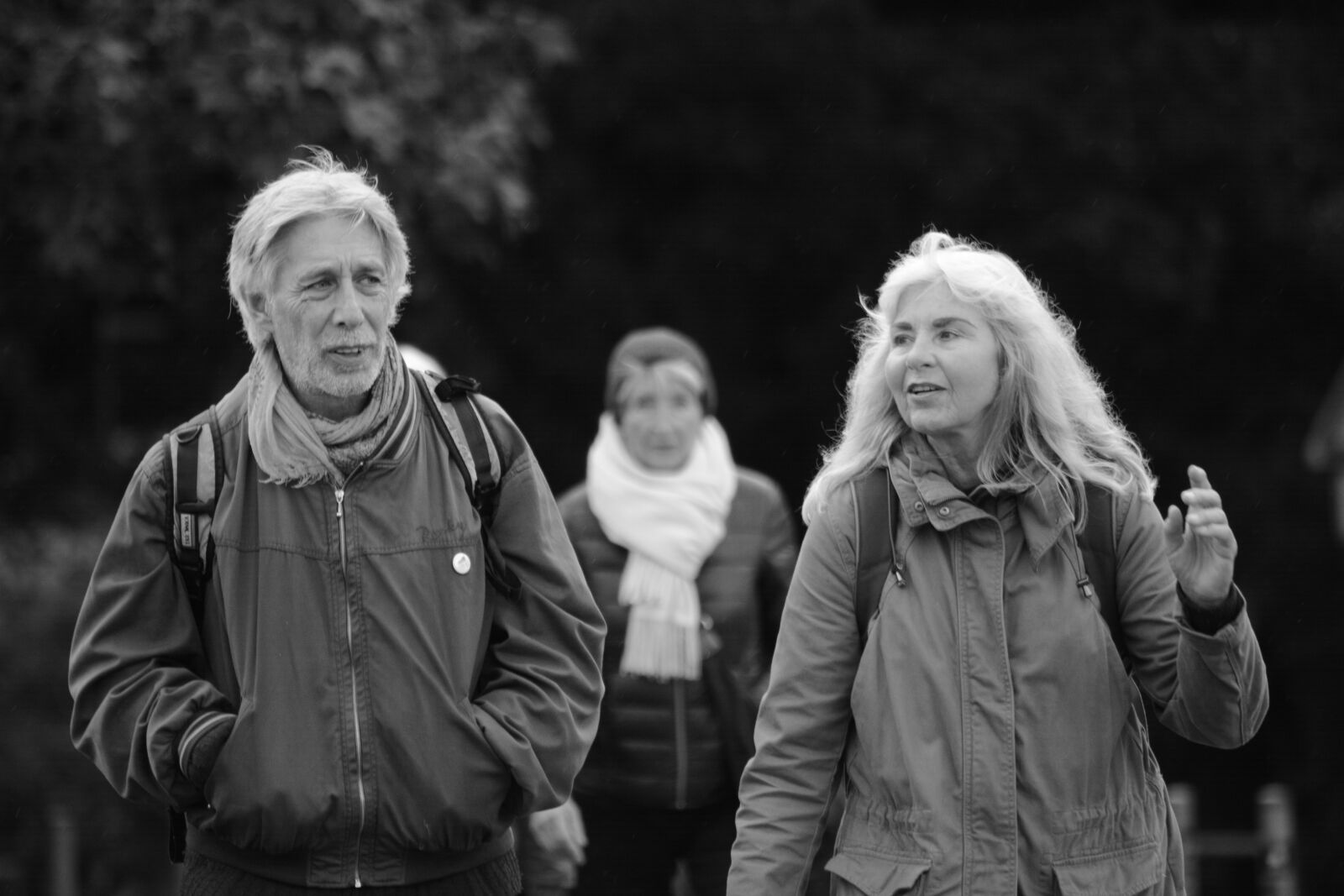 Nikon D7100 sample photo. Walk, human, autumn photography