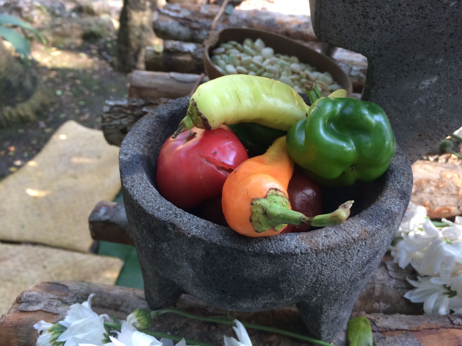 iPhone 5s back camera 4.15mm f/2.2 sample photo. Chile, comida, alimento photography