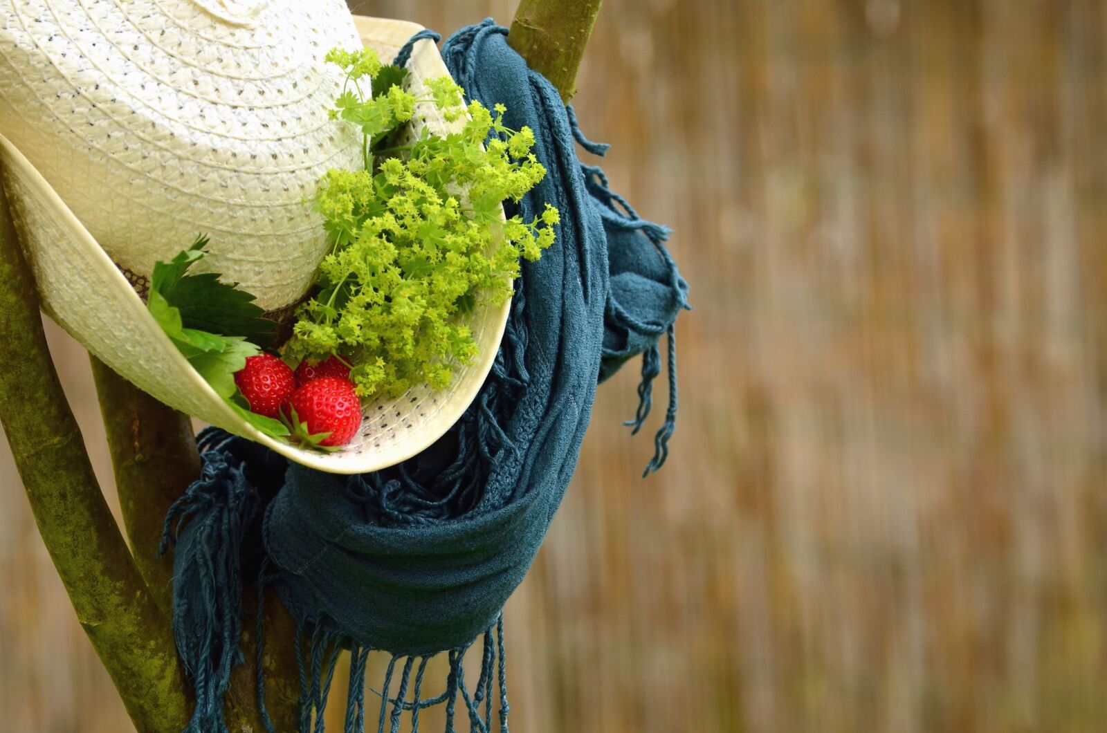 Nikon D5100 sample photo. Strawberry, hat, leaf, scarf photography