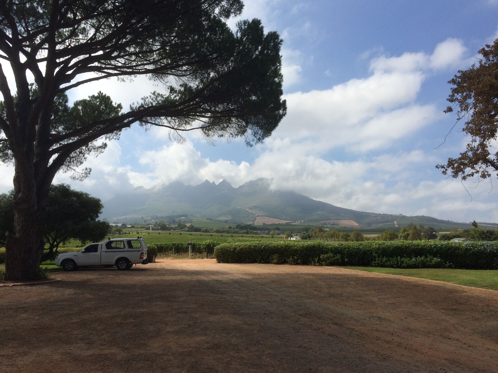 iPhone 5s back camera 4.15mm f/2.2 sample photo. South africa, winery, wine photography