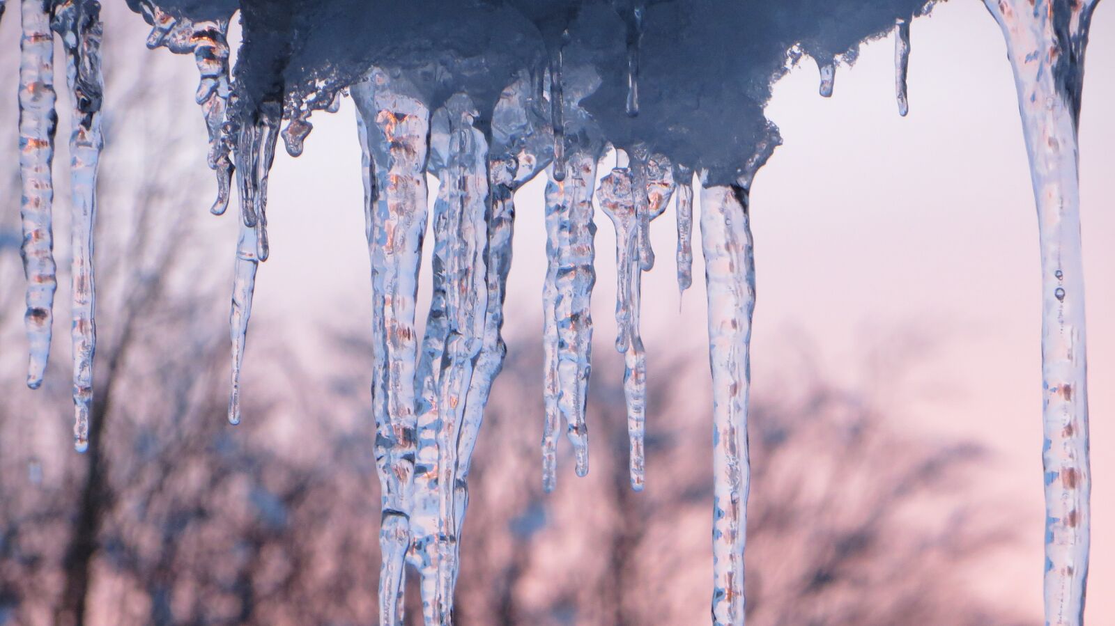 Canon PowerShot SX270 HS sample photo. Ice, icicle, frozen photography