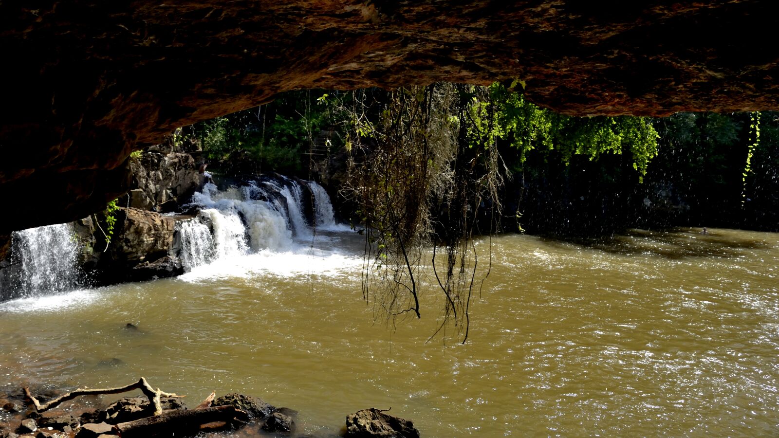 Nikon D5100 sample photo