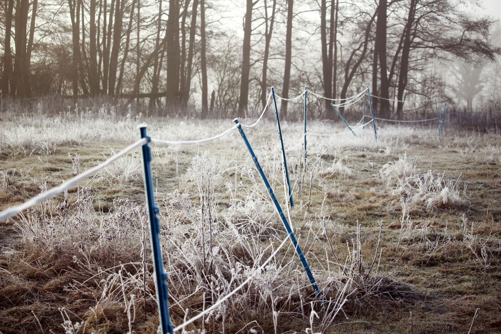 Canon EOS 100D (EOS Rebel SL1 / EOS Kiss X7) sample photo. Hoarfrost, fence, winter photography