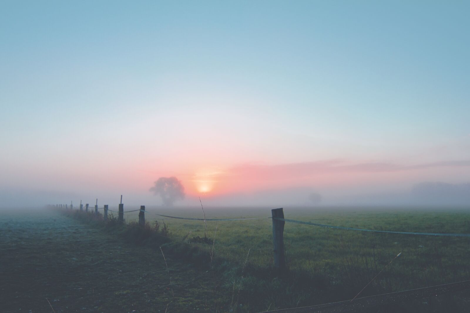 Canon EOS 550D (EOS Rebel T2i / EOS Kiss X4) sample photo. Fog, dawn, landscape photography