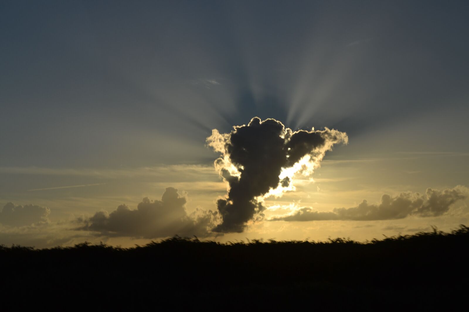 Nikon D3100 sample photo. Sunset, cuba, impression photography