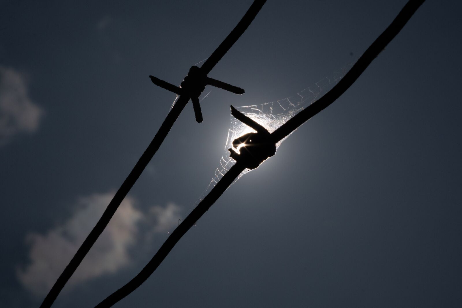 Fujifilm X-T3 sample photo. Wire, barbed, danger photography
