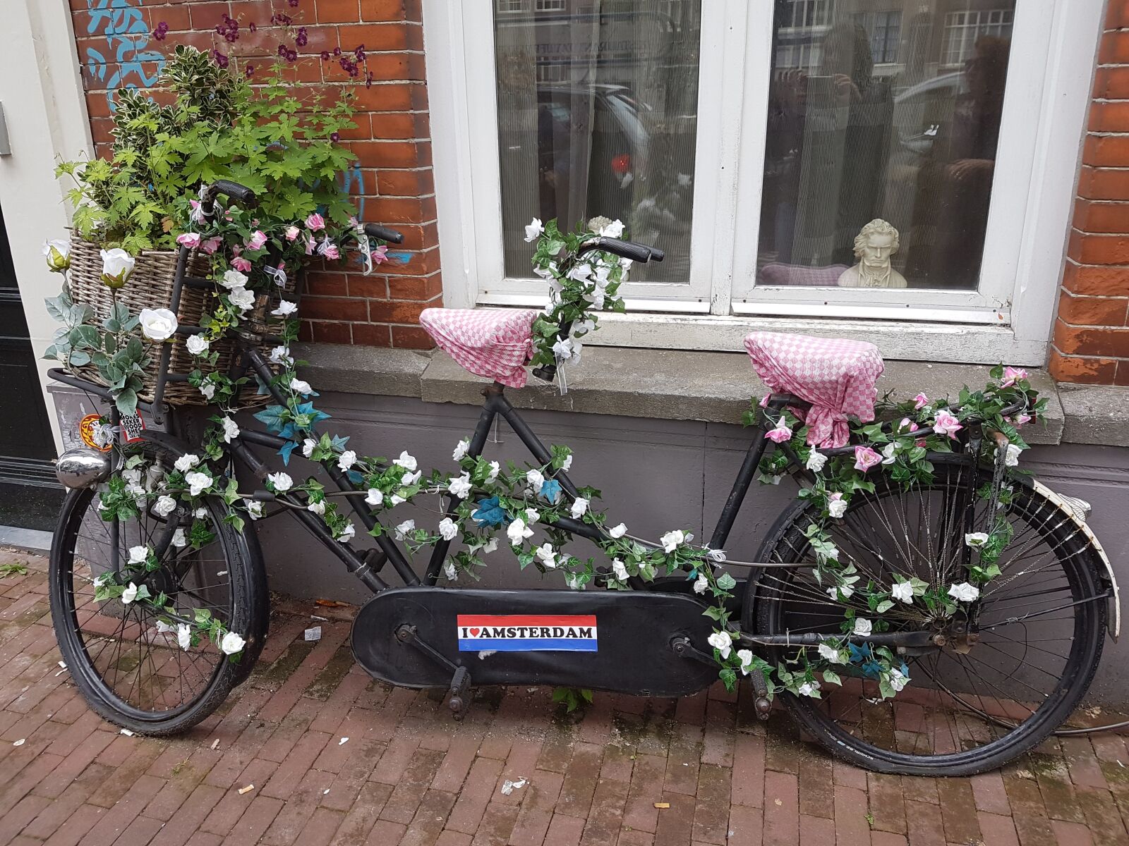 Samsung Galaxy S7 sample photo. Amsterdam, flowers, bicycle photography