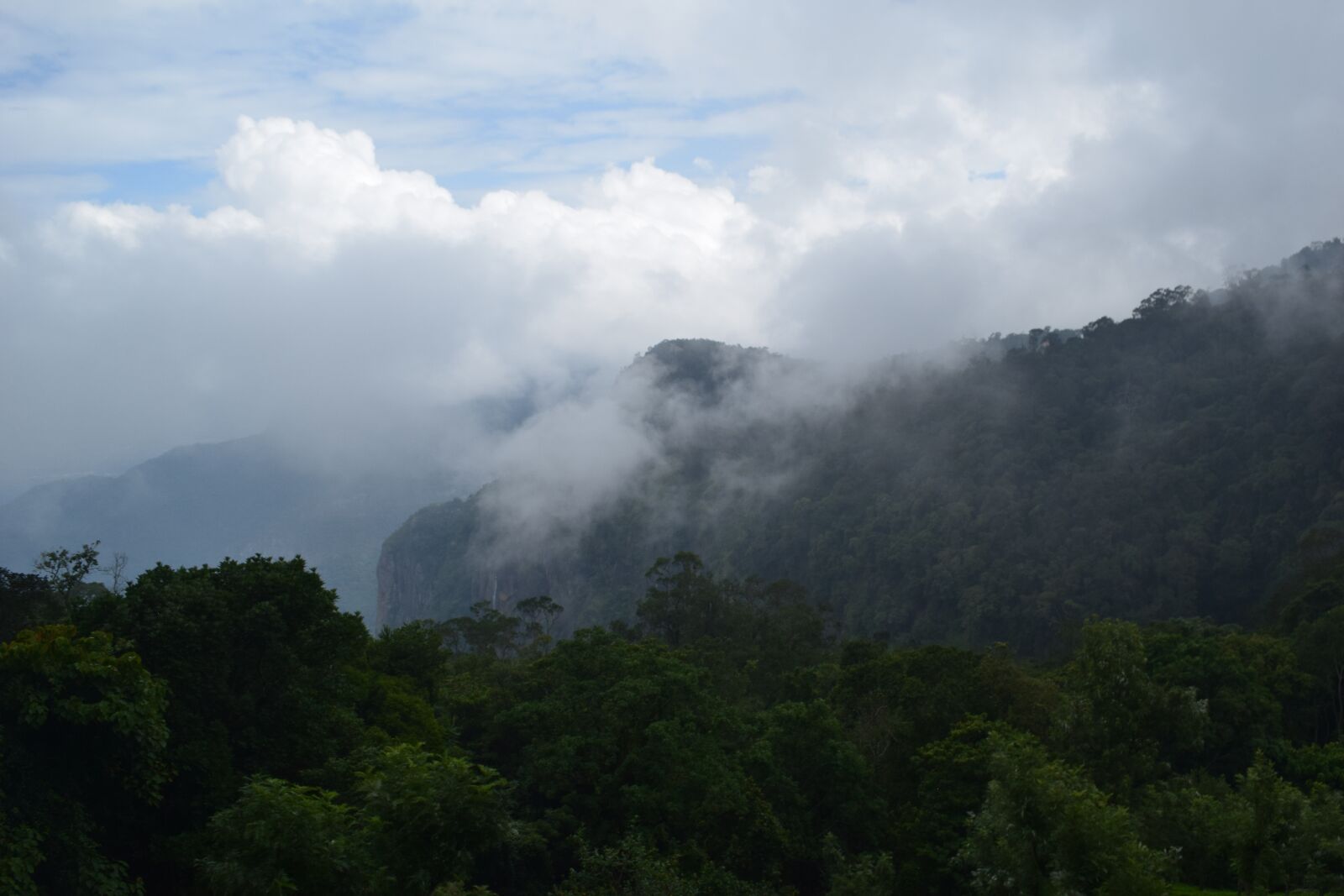 Nikon D3300 sample photo. Coonoor, dolphin nose, green photography
