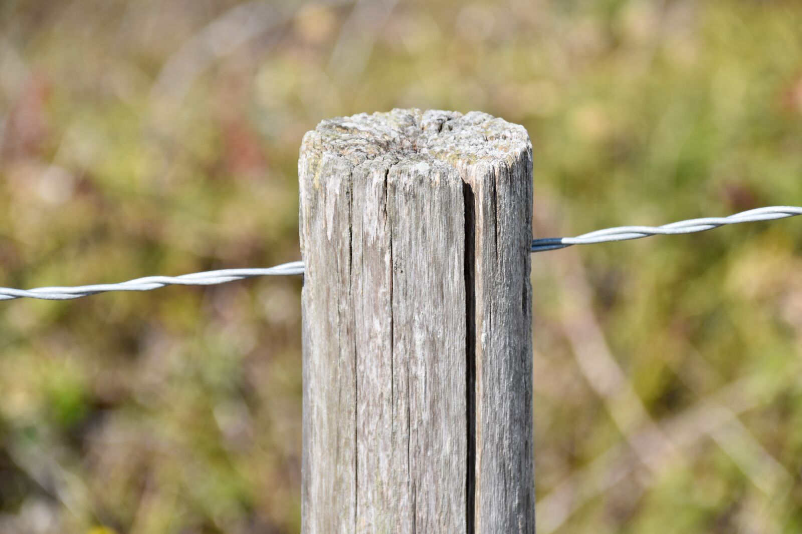Nikon D5600 sample photo. Pole wood, wood wire photography